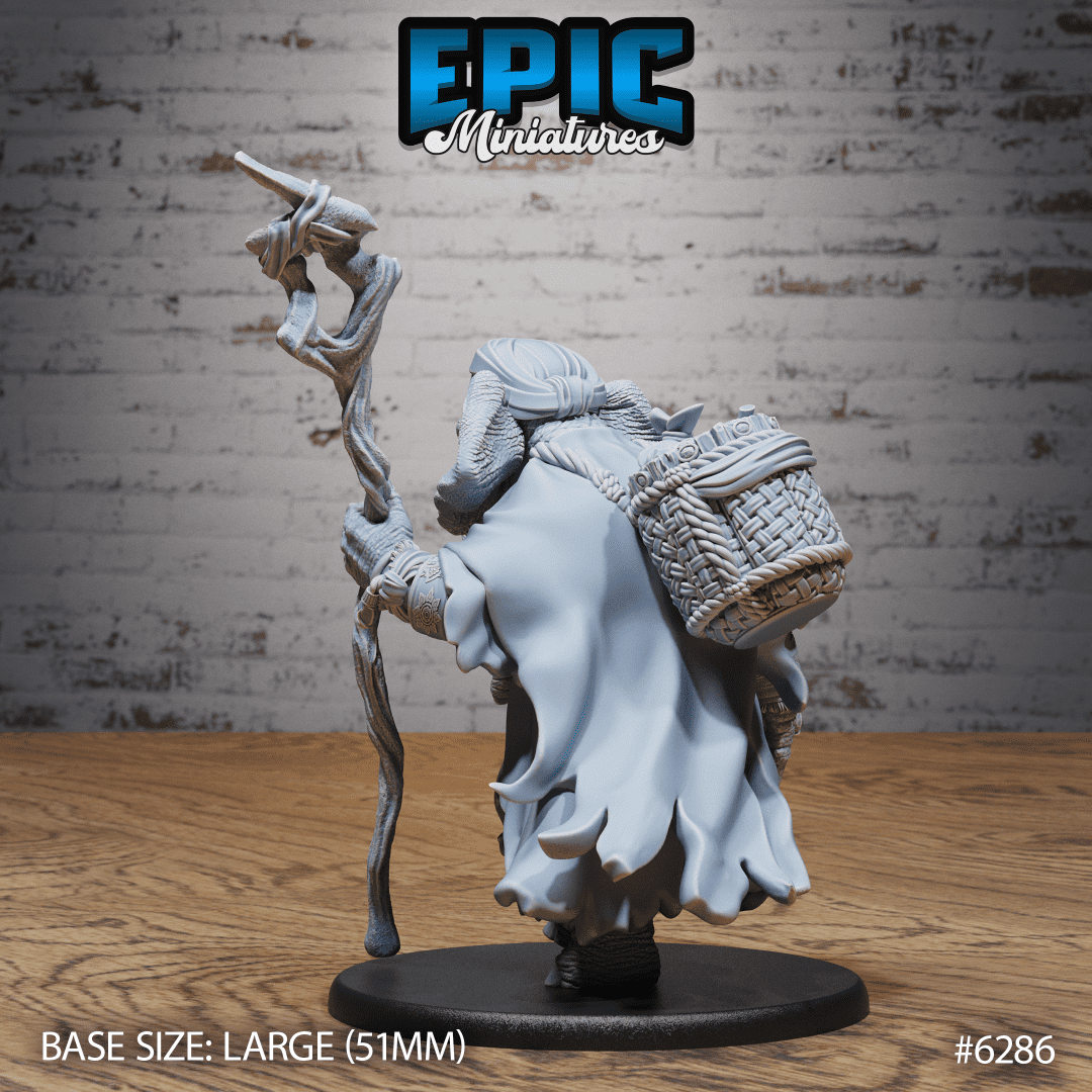 Elephant Folk Druid - Image 2