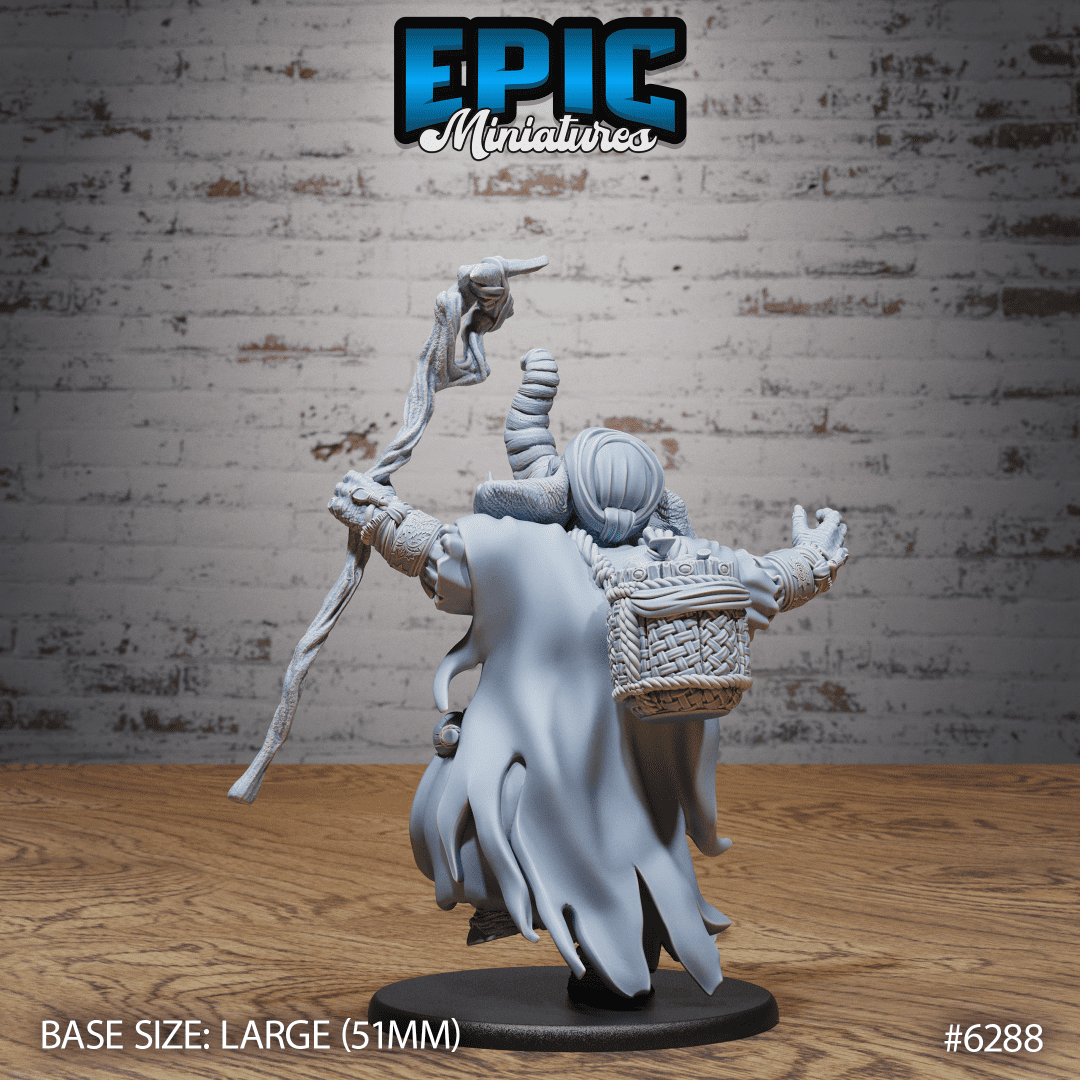 Elephant Folk Druid Dance - Image 2
