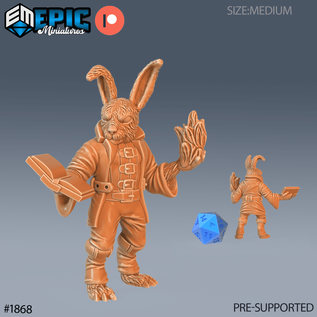 Bunny Wizard