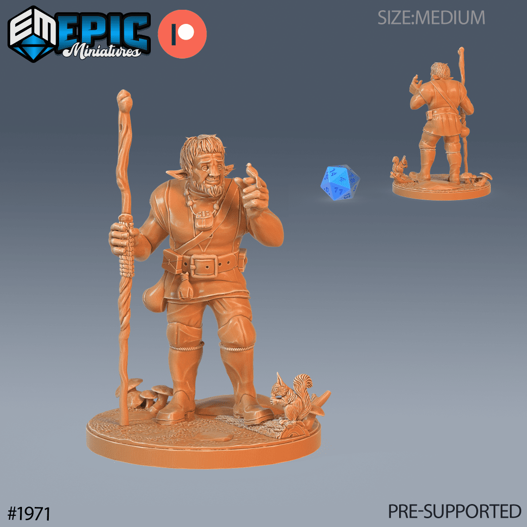 Firbolg Druid