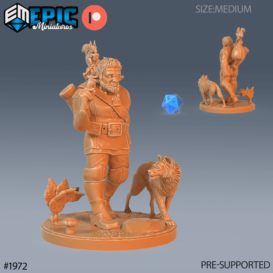 Firbolg Druid Wolf