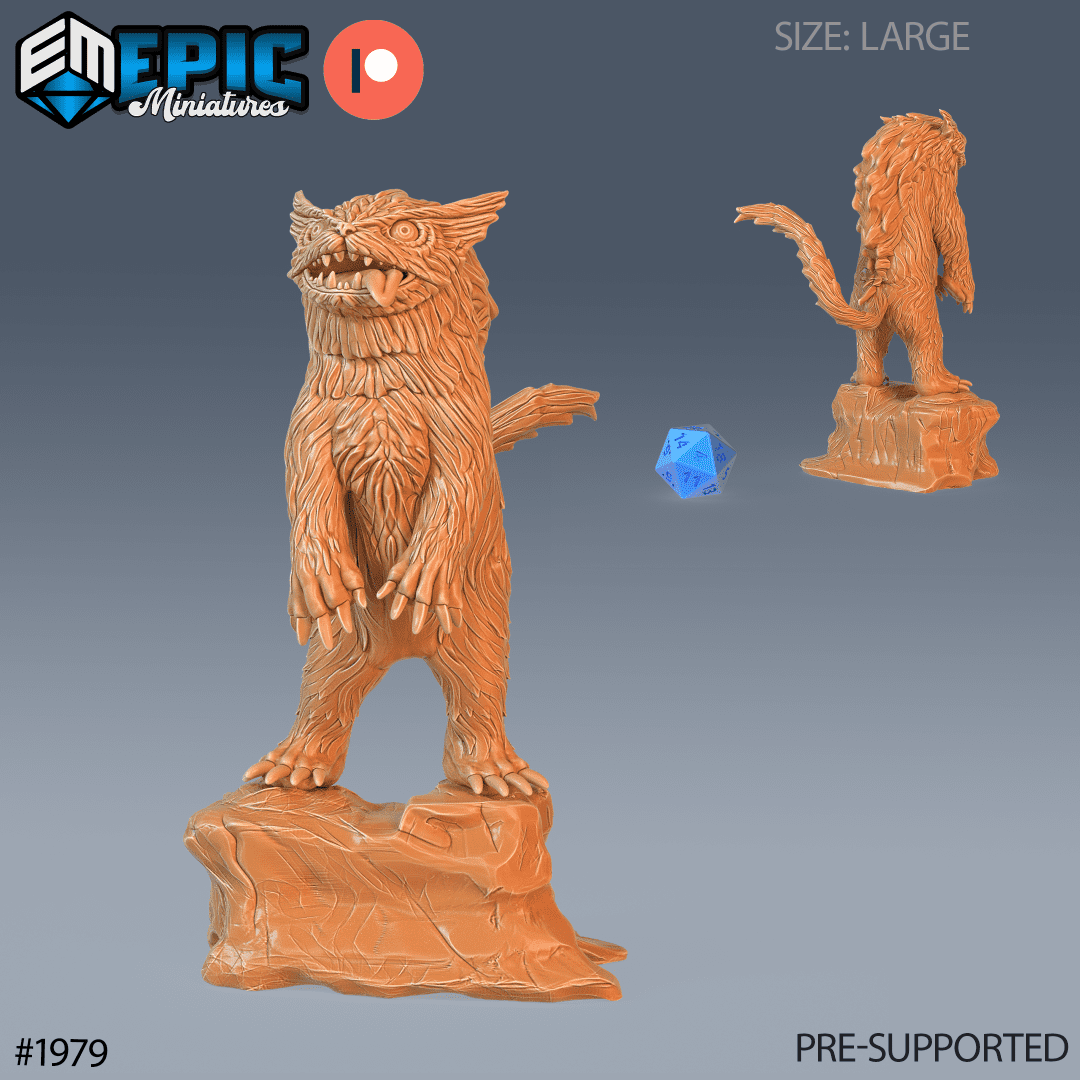 Owlcat Standing