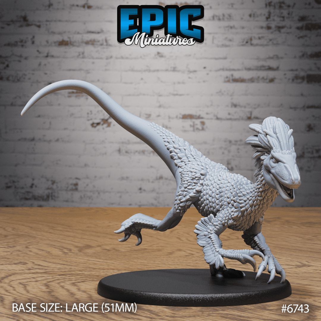 Raptor Chase