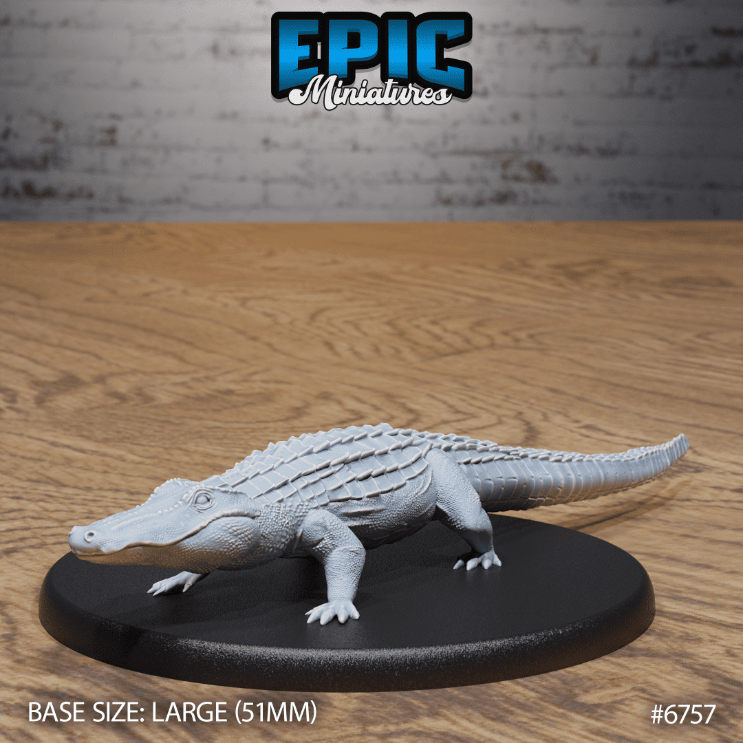 Alligator