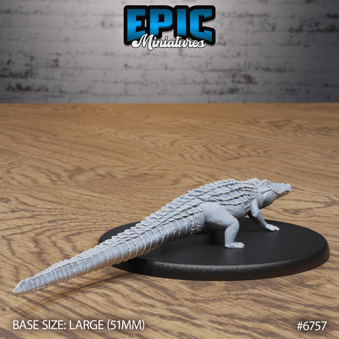 Alligator - Image 2