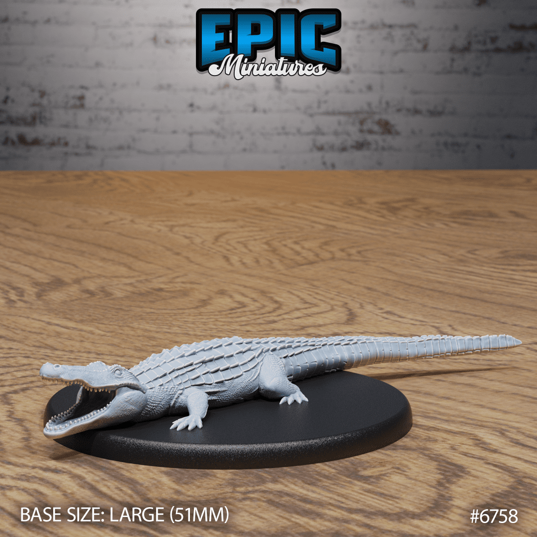 Alligator Hunting