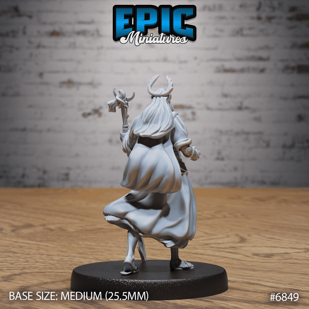 Druid Mimir Avatar - Image 2
