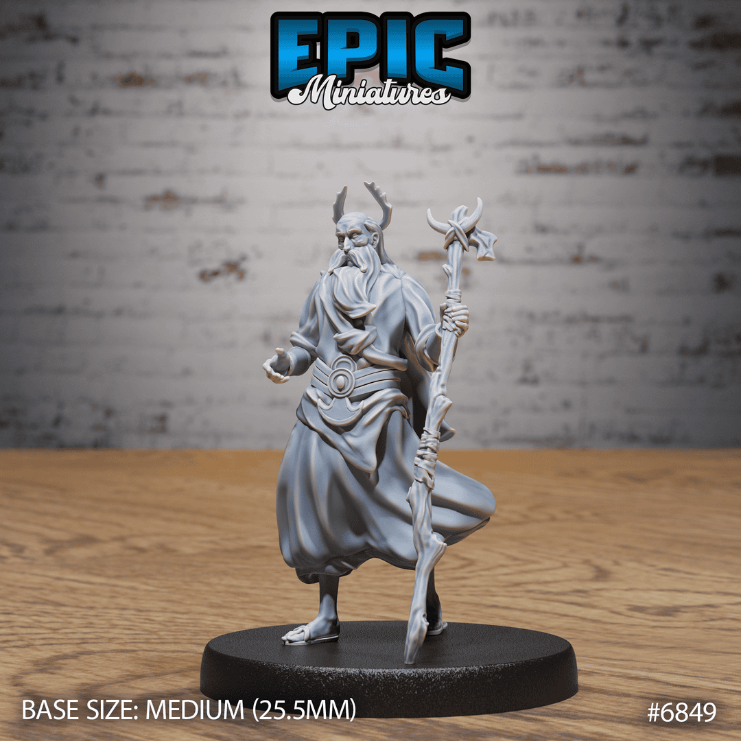 Druid Mimir Avatar